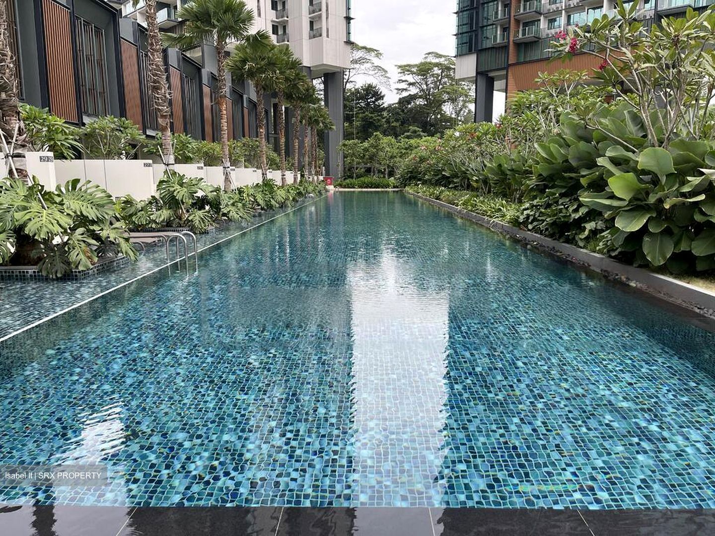 Normanton Park (D5), Apartment #458815351